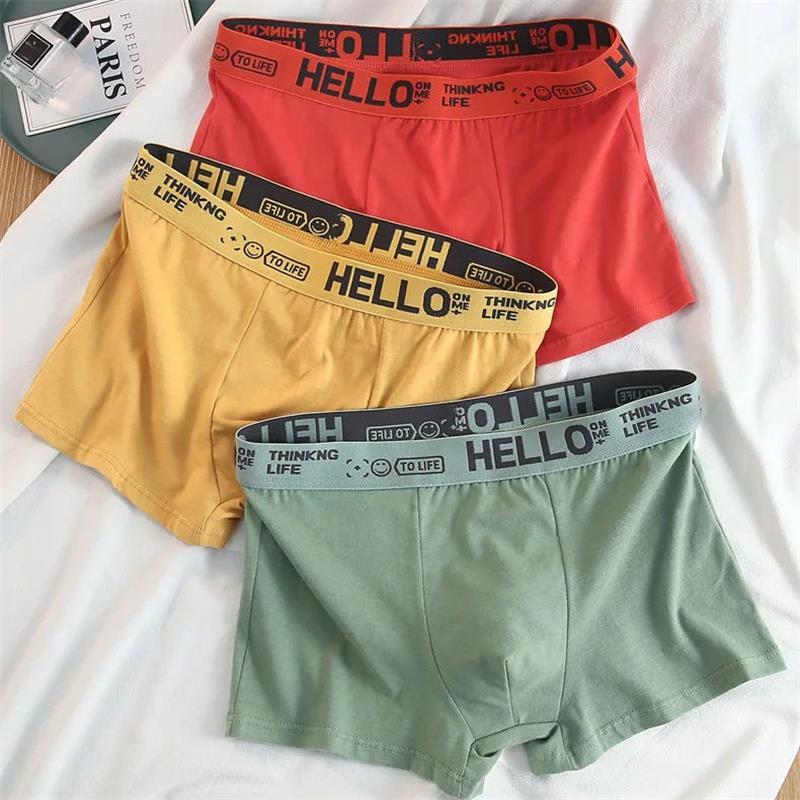 Celana dalam katun murni pria, - Boxer Brief Pack Cotton ulasan dan harga