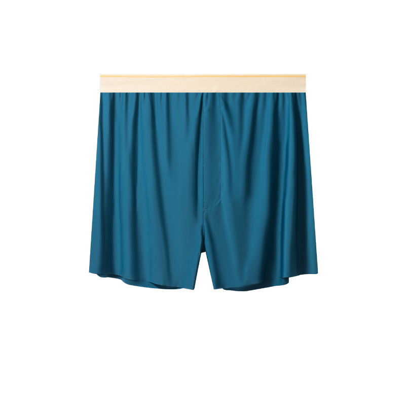 Celana dalam pakaian tidur pri - Quick Dry Underwear ulasan dan harga