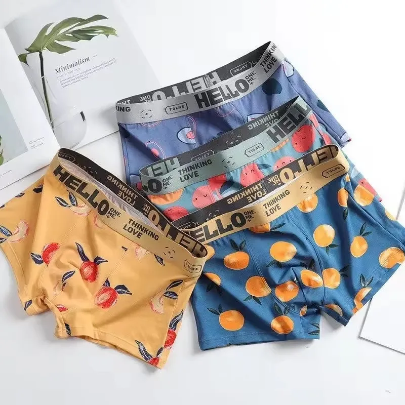 1/2/4 Buah Pakaian Dalam Boxer - Boxer Brief Pack Cotton ulasan dan harga