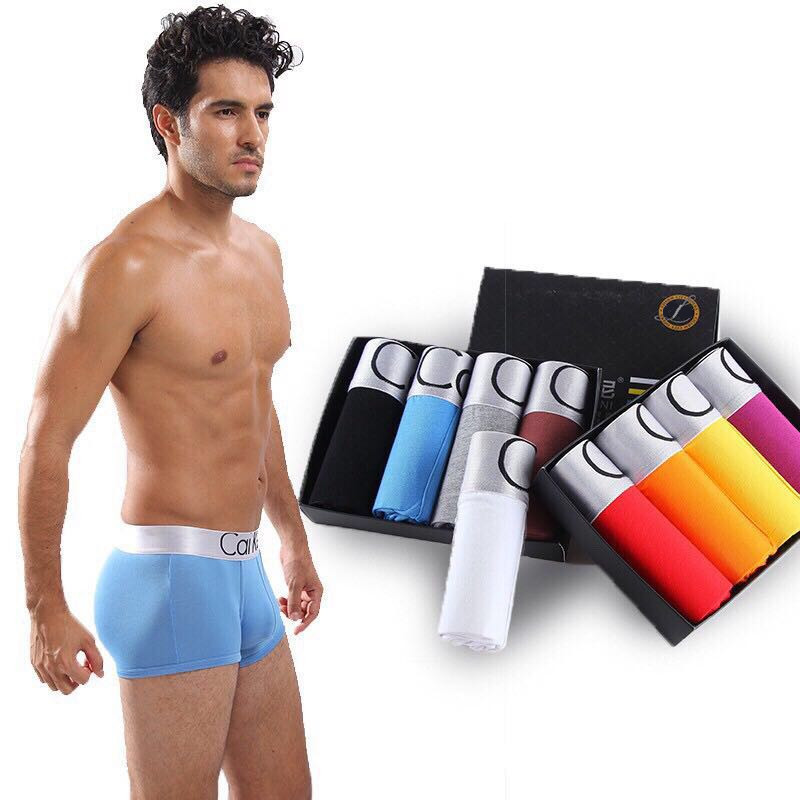 4 Buah/Banyak Pria Pakaian Pet - Multi Pack Underwear ulasan dan harga